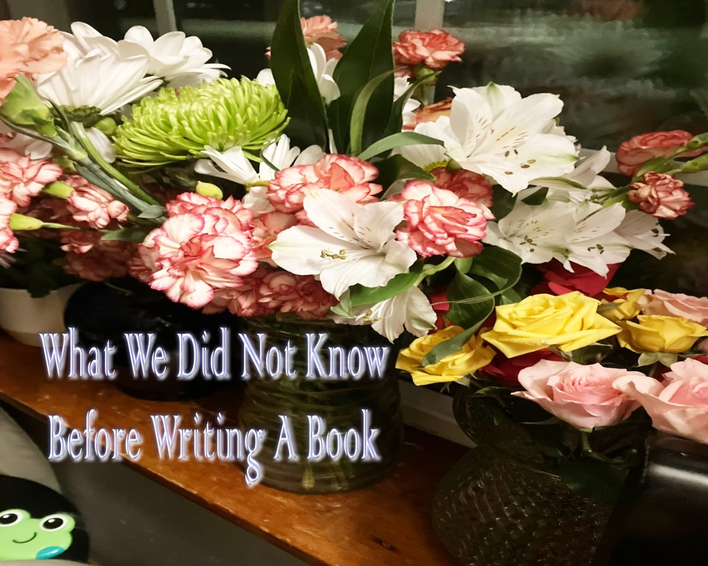 What We Did Not Know Before Writing A&nbsp;Book