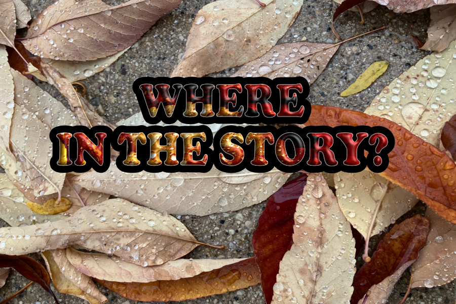Where In The Story? Test&nbsp;#1